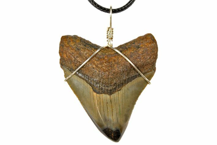 Fossil Megalodon Tooth Necklace - Serrated Blade #130919